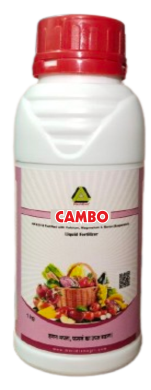 CAMBO